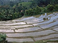 A scientific insight into mountain regions and cultures worldwide