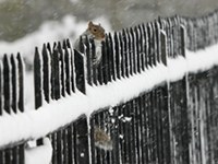 ECONNECT photo contest: clicks beyond borders