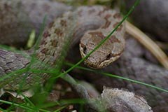 Financial boost to Bavaria's Ecological Network