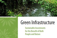 Win-win for nature, economy and society: more green infrastructure throughout Europe