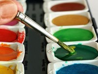 We are the macro-region Alps