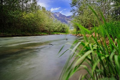 Green light for Nature Restoration in the EU