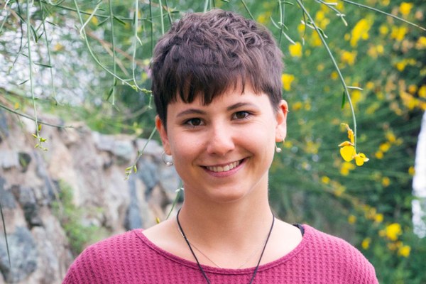 Point of view: The Alps are not an endless source of energy!