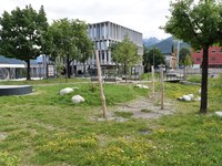 Three years for living soils: Ground:breaking takes stock