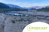 Too much water, too little water: excursion to the Vienna Woods