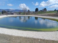 Winter tourism in the climate crisis