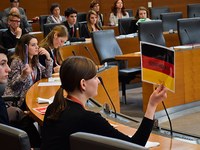 Youthful ideas for “My Green Alps”