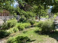 Nature-based solutions and their governance structures in the Alpine region