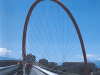 Report on Urban Mobility in the Alps