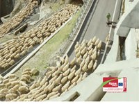 Webs of Life - Alpine biodiversity needs ecological connectivity