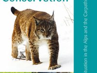 Large Carnivore Conservation