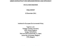 Green Infrastructure Implementation and Efficiency
