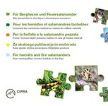 For hermits and fire salamanders