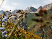 La biodiversité a besoin d’une politique courageuse et d’une mise en œuvre rigoureuse