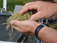 Renforcer la diversité naturelle : des territoires pilotes partagent leurs expériences