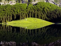 La valeur de la nature