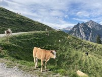 Paysage et agriculture