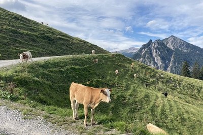 Paysage et agriculture