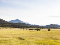 Environnement & Biodiversité