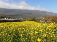 Pionnière dans la préservation de la biodiversité !