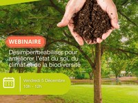 Défis & perspectives de désimpermabilisation des sols par des exemples de collectivités en France et Italie - Webinaire