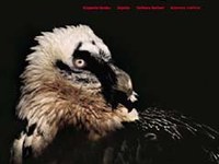 Les 25 ans du projet international sur les gypaètes