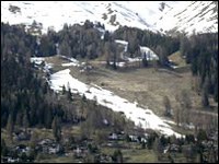 Les dameuses pour les pistes et la neige artificielle menacent la diversité végétale