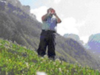 Forum pour la culture populaire suisse d'aujourd'hui