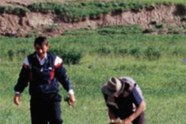 Journée internationale de la montagne sur le thème de la biodiversité