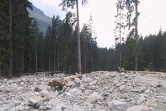 Objectifs climatiques : un appel clair lancé par le monde scientifique