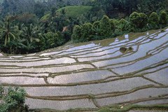 Regard scientifique sur les régions de montagne étrangères et leurs cultures
