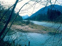 Bad Reichenhall : " A la découverte de la zone alluviale de Marzoller "