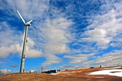 Slovénie : utilisation de l'énergie éolienne et protection des oiseaux