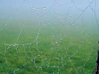 Partenaires en réseau pour un réseau d'habitats