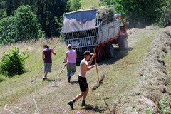 Des aides à l'agriculture de montagne en vue