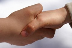 Alpe Adria soutient les énergies alternatives par-delà les frontières