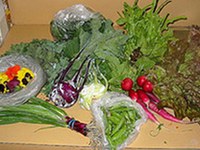 Ce n'est pas parce que le printemps est là que le marché des pesticides doit être florissant !