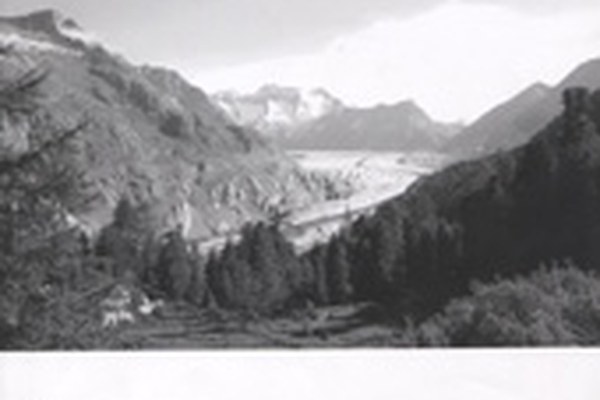 eco.mont - nouveau magazine de la recherche dans les espaces protégés