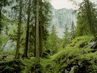 Recherches en faveur du climat