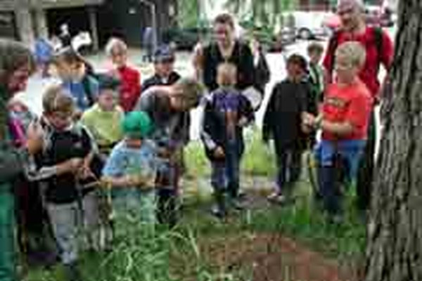 " Die besten Fünf " - une nouvelle brochure propose des excursions dans les pays de la communauté Arge-Alp