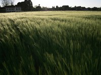 Convention alpine : un portail climatique en ligne