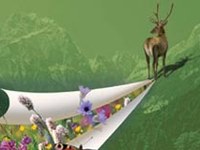 De nouvelles publications au service de la mise en réseau des espaces naturels dans les Alpes