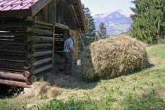 Une politique agricole commune pour les Alpes