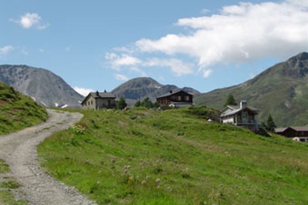 Coopération italo-suisse pour améliorer la connectivité écologique