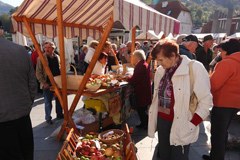 Rapport annuel 2011 : " Nous allons continuer "