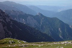 Les Slovènes veulent une stratégie verte