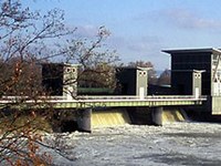 Le Rhin abritera bientôt des saumons