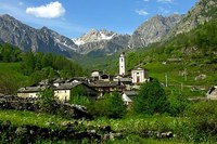 Bienvenue, nouveaux habitants des Alpes !