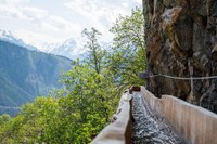 Bisses, rayes, Waale