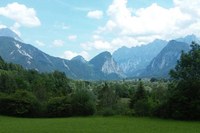 Comment la biodiversité disparaît